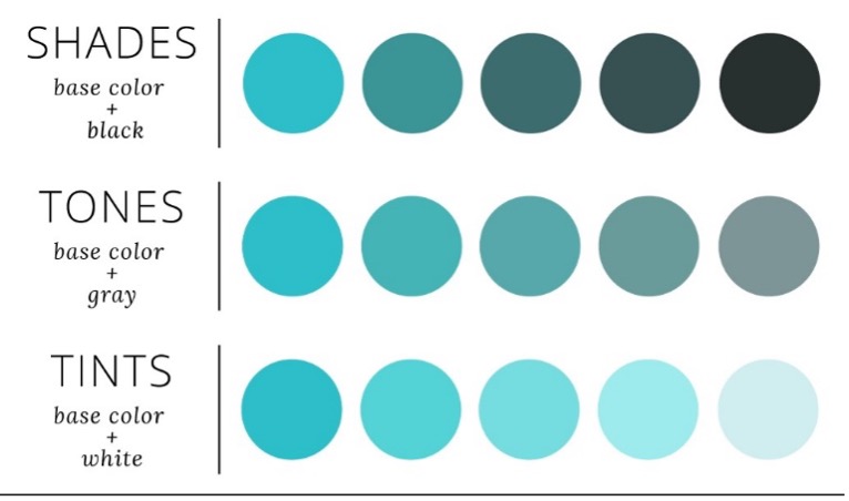 tint vs shade