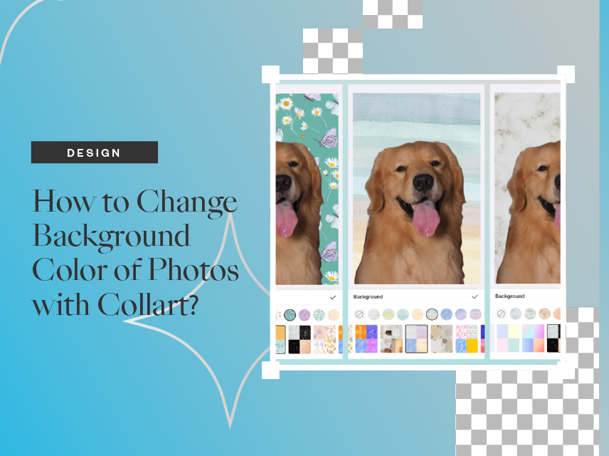 How to Change Background Color of Photos with Collart? - Collart Photo  Editor and Collage Maker