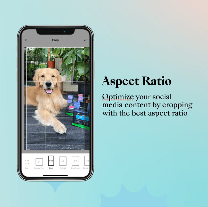 social media aspect ratio cropping collart free photo editor collage maker