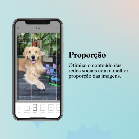 Como aprender a digitalizar fotos na proporção perfeita 1