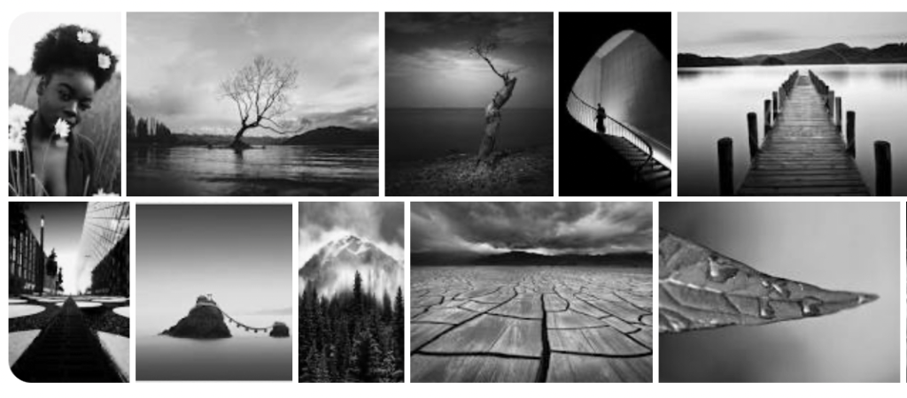 convert photos to black and white free photo editor filters 1