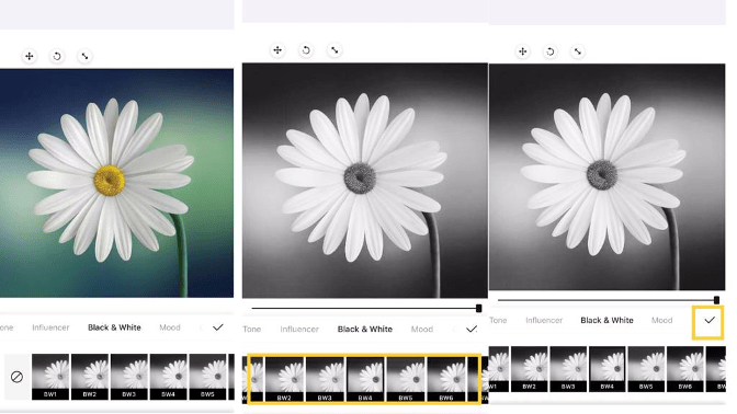 convert photos to black and white free photo editor filters 5